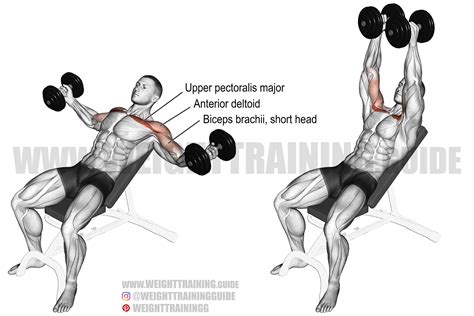 dumbbell flyes|How to Do the Dumbbell Flye for a Complete Chest